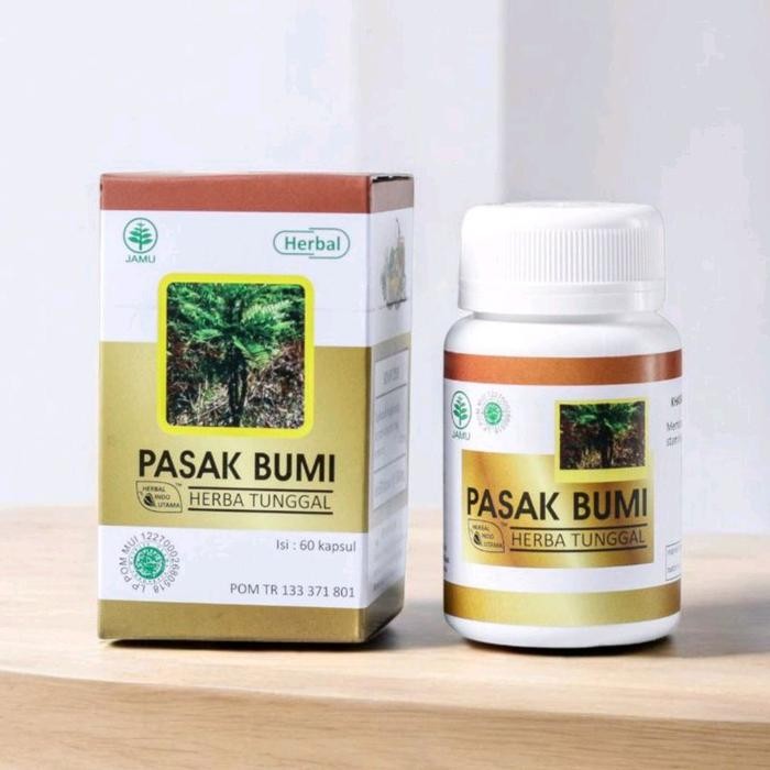 PASAK BUMI Herbal Indo Utama HiU - Kapsul Ekstrak Akar Pasak Bumi Tongkat Ali Eurycoma