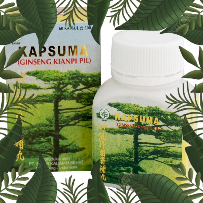 SIAP KIRIM ~ BPOM Kapsuma Kianpi Pil Penggemuk Badan Wisdom ASLI Original - Ginseng Kianpi Pil WISDO