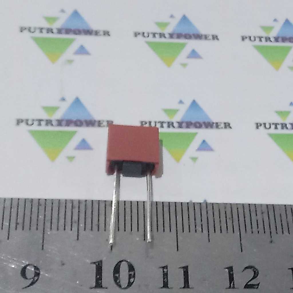 T5A 250v fuse kotak merah sekring  5A  250v sekering jarak kaki 5mm 5 amper  T5A 250v red