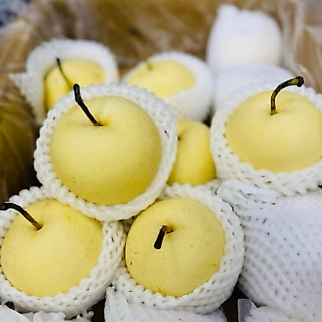 BUAR PIR CENTURY 1KG/BUAH PIR MANIS/BUAH PIR SEGAR FRESH/BUAH PEAR/BUAH PIR MURAH/BUAH PIR MADU/BUAH