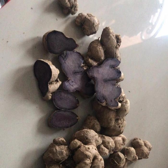 

rimpang kunyit hitam A0209