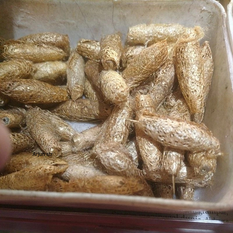 

Koleksi Pong Pong Sovenir Asesoris Kuningan