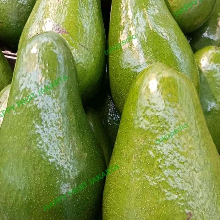 

Alpukat Mentega Super jumbo 1 kg