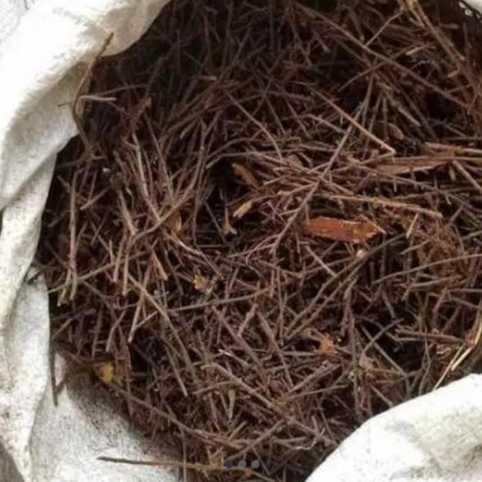 PAKIS CACAH MEDIA TANAM ANGGREK& AGLONEMA ,ANTHURIUM 1KG