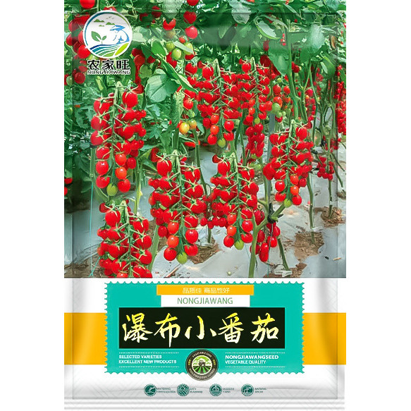 Benih Tomat Air Terjun isi 200 Biji Bibit PRC