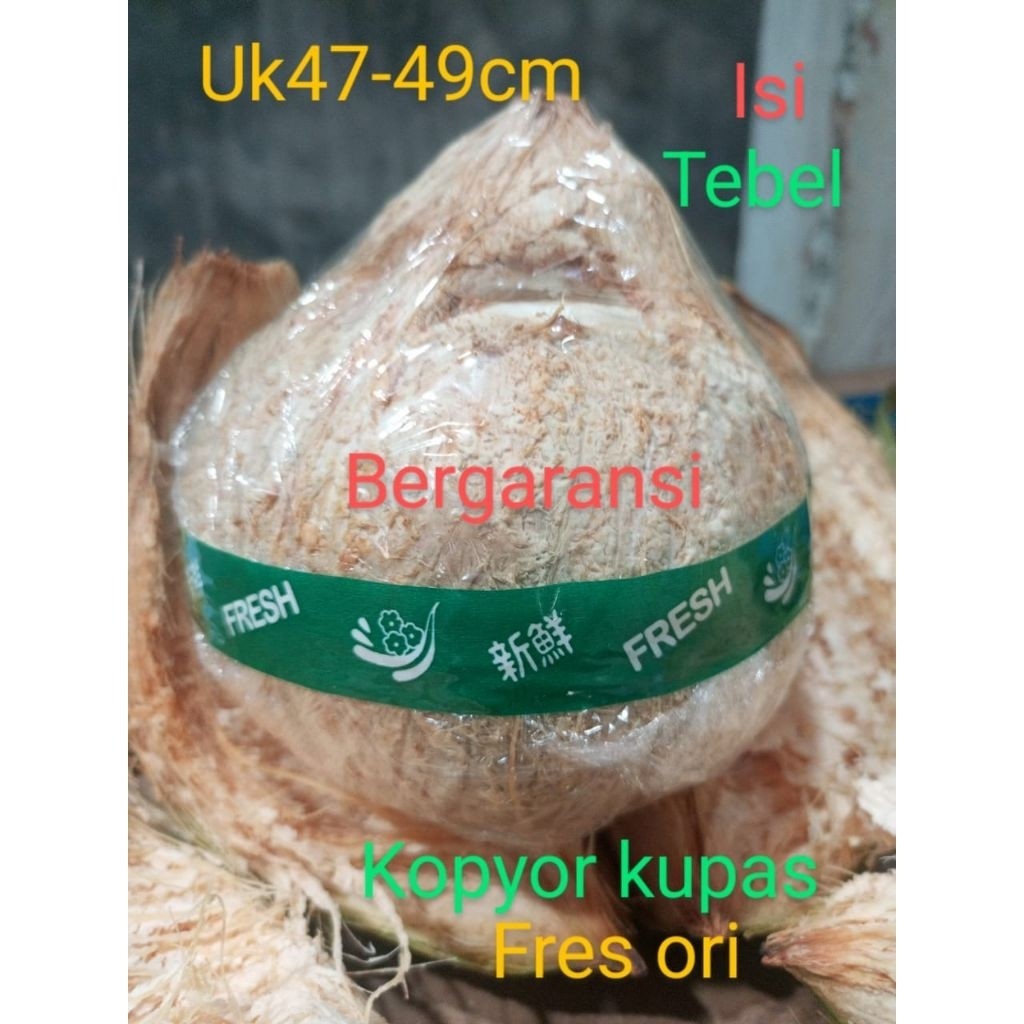 

kopyor kupas plontos, UK 47-48cm bergaransi