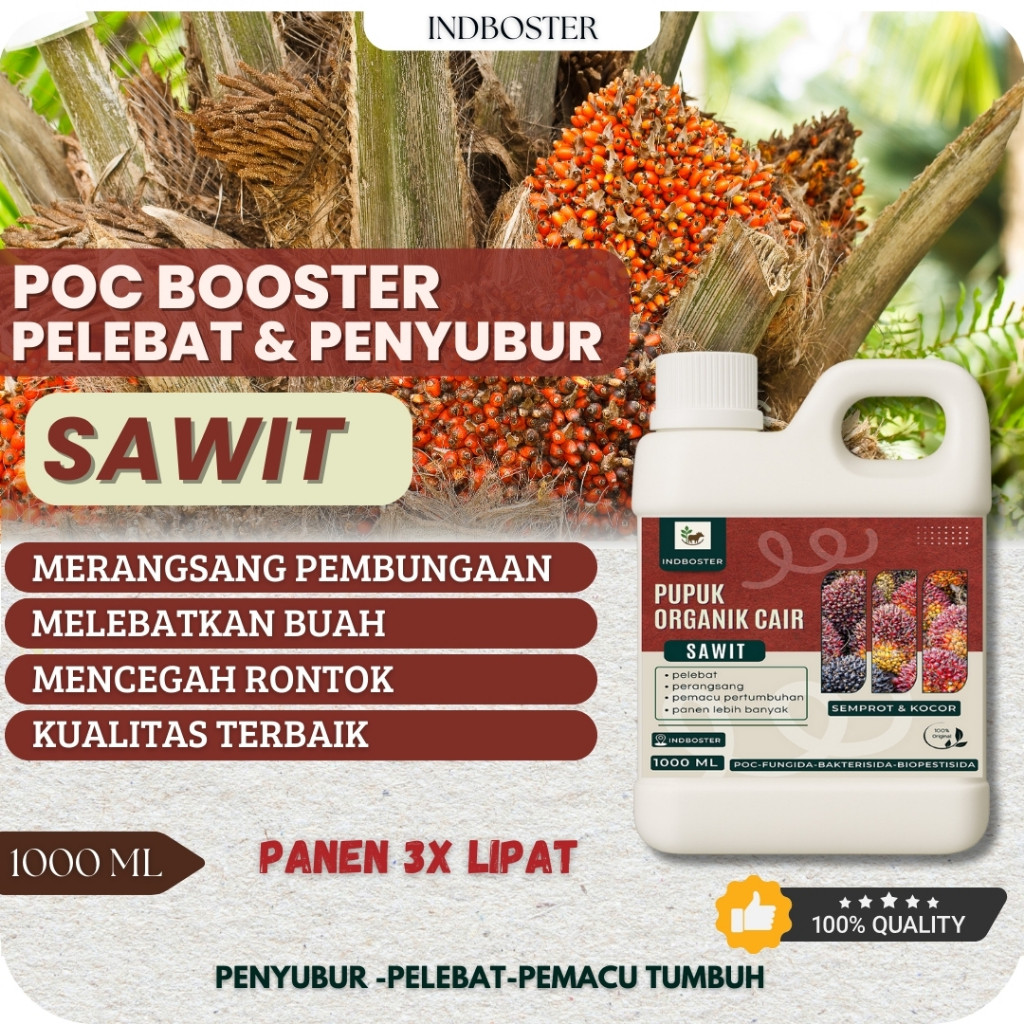 Pupuk Sawit Agar Buah Lebat dan Berat / Pupuk kelapa Sawit / Pupuk Sawit Baru Tanam / Pupuk Sawit Ca