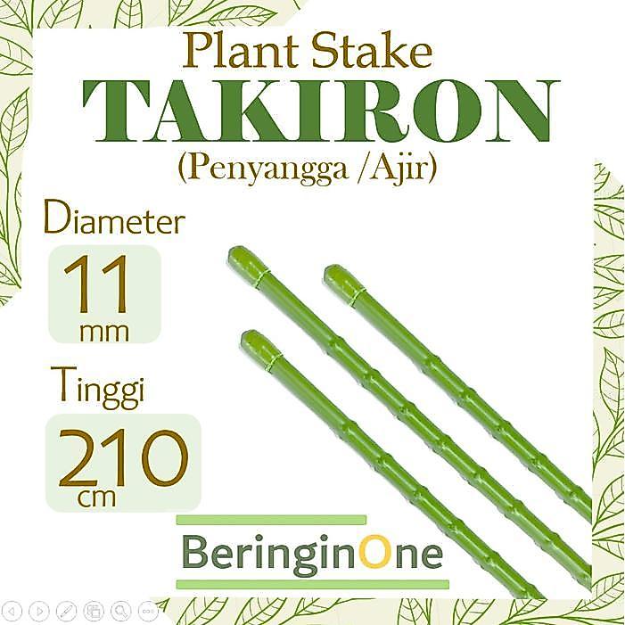 NEW AJIR PENYANGGA TANAMAN TAKIRON 11 MM X 210 CM