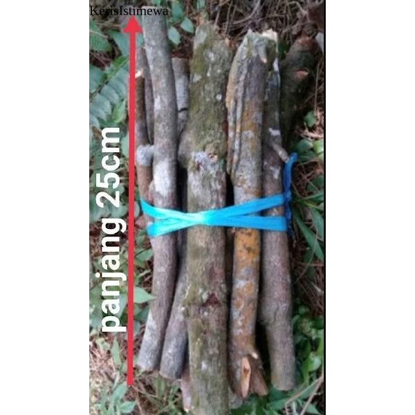 Ranting kayu bakar / kayu bakar kering - 500 gram murah berkualitas