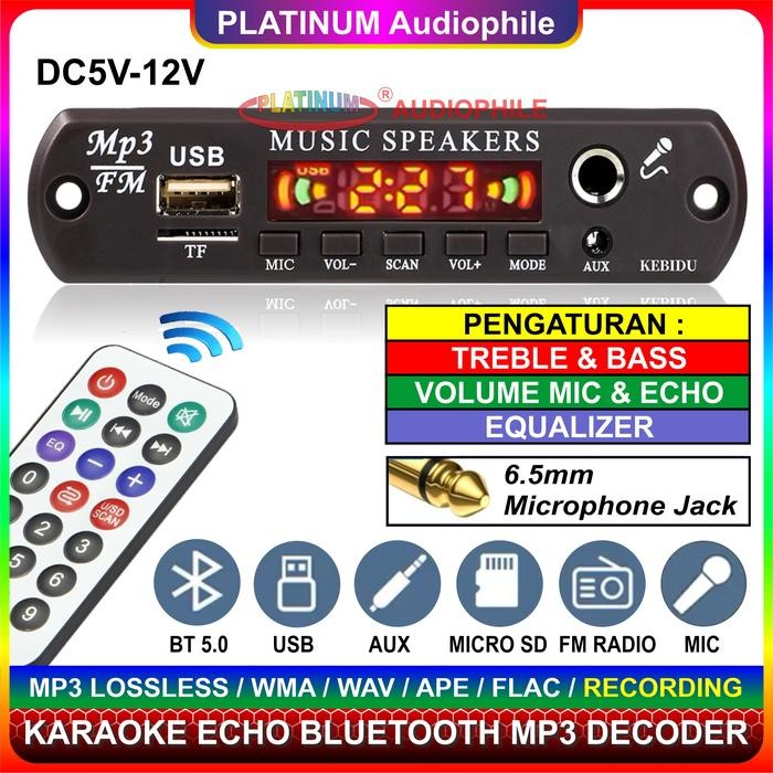Modul MP3 Decoder Bluetooth 5.1 Karaoke Mic echo Multimedia Speaker 163BT