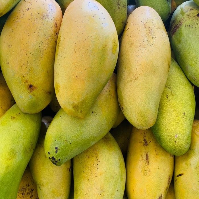 

Mangga golek manis matang - mangga golek matang fresh 1 kg