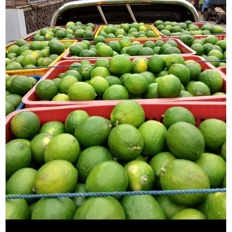 

jeruk lemon California lokal 1kg