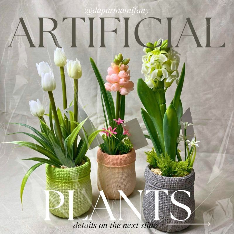 INFORMA TANAMAN ARTIFICIAL// TANAMAN ARTIFICIAL