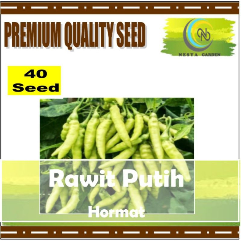 40 Benih Cabe Rawit PUTIH Hormat Garuda Seed Benih Cabe