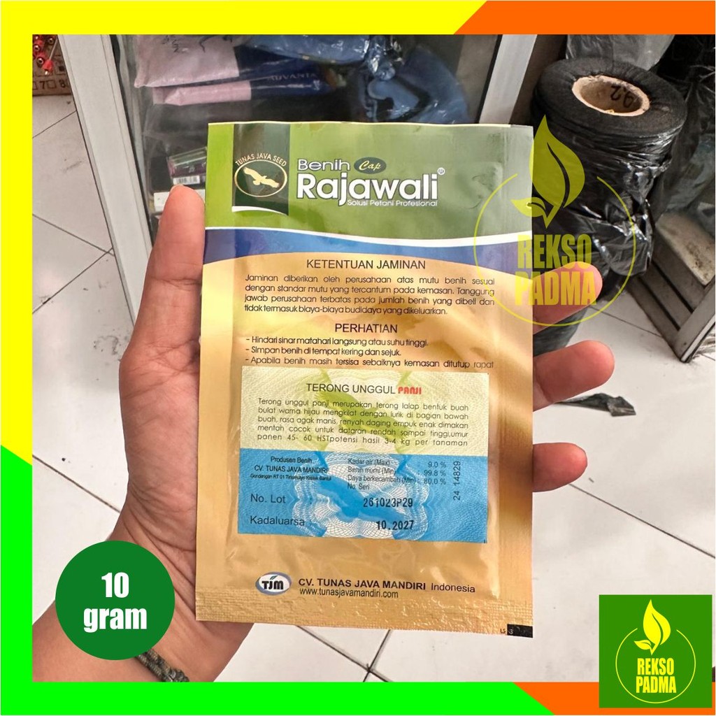 Benih Terong Lalap Panji Cap Rajawali - 10 gram