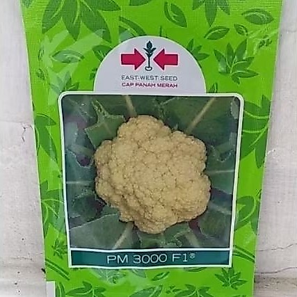 Benih Kembang Kol Panah Merah PM 3000 F1 10 Gram