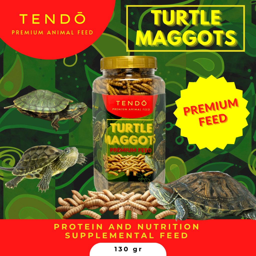TERLARIS Pakan Kura-Kura Air – Maggot Kering & Pelet Protein untuk Kura-Kura Brazil Ambon Dada Merah