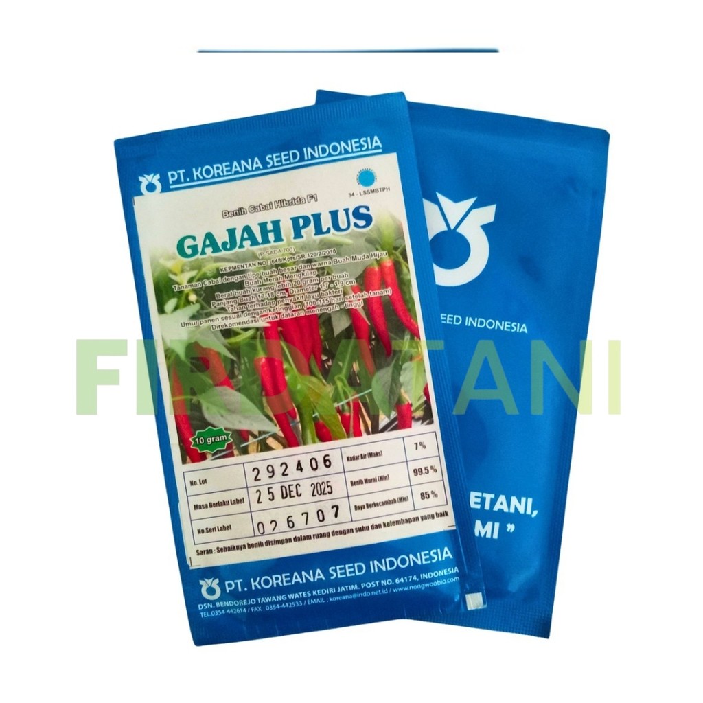 Benih Cabe Gajah Plus F1 10gr – Buah Besar Tahan Layu, Cocok Dataran Tinggi