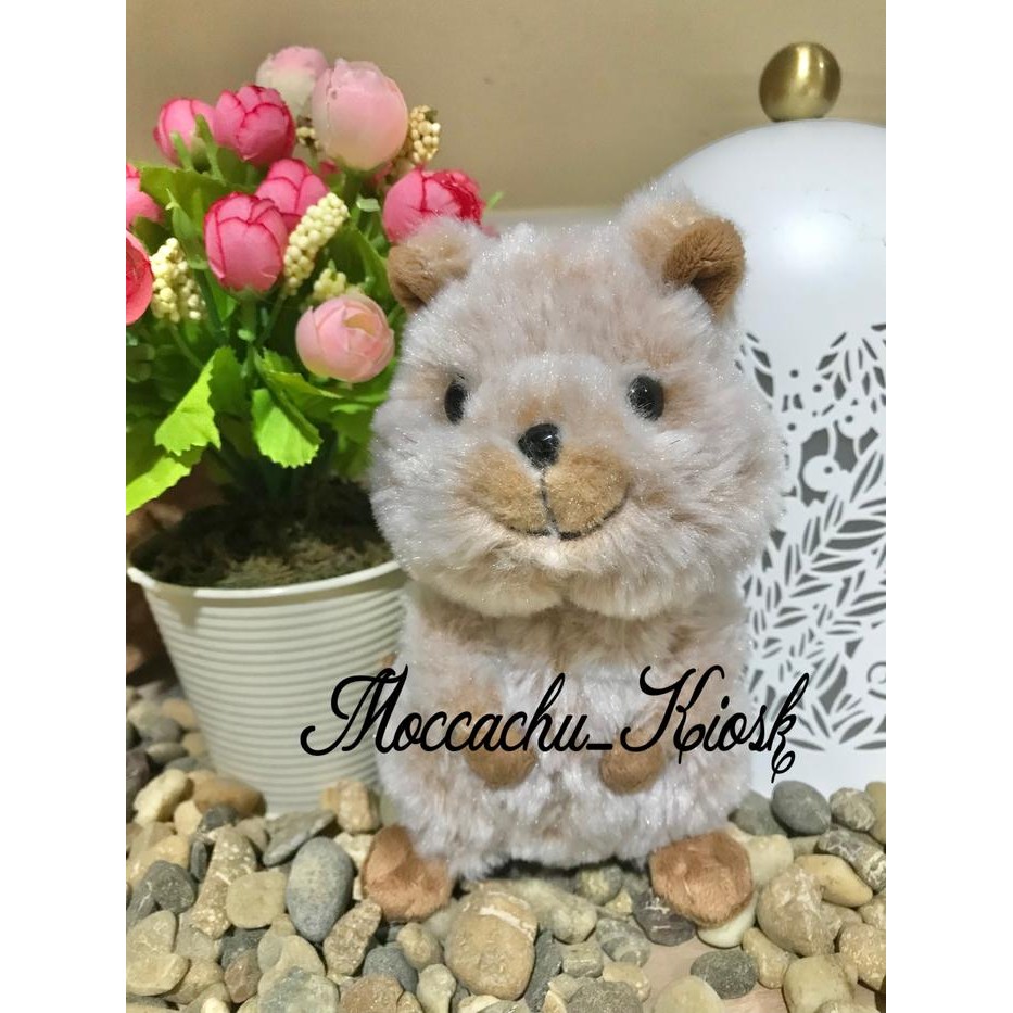 Terbaru Sunlemon plush doll fluffies Quokka / boneka Quokka lucu sunlemon