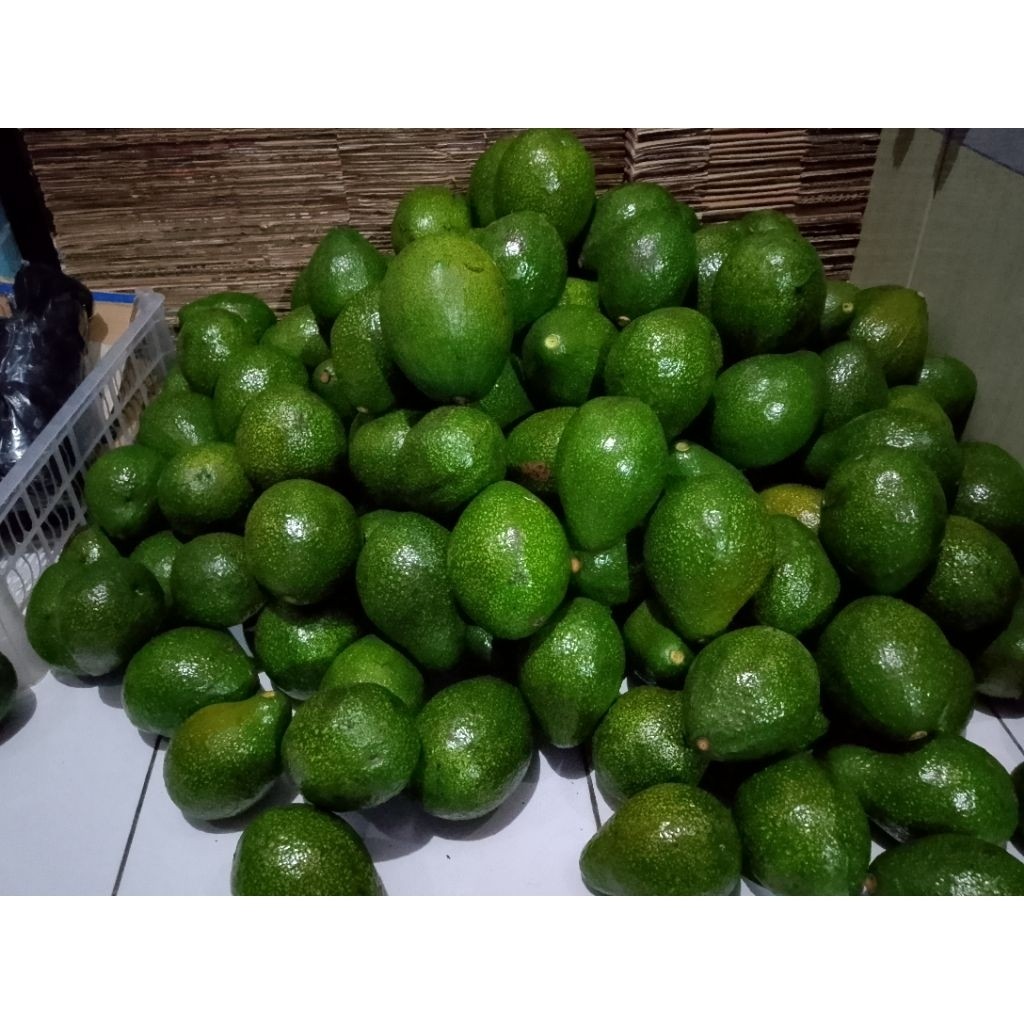 

alpuket mentega super presh 1kg isi 2.3.4 buah