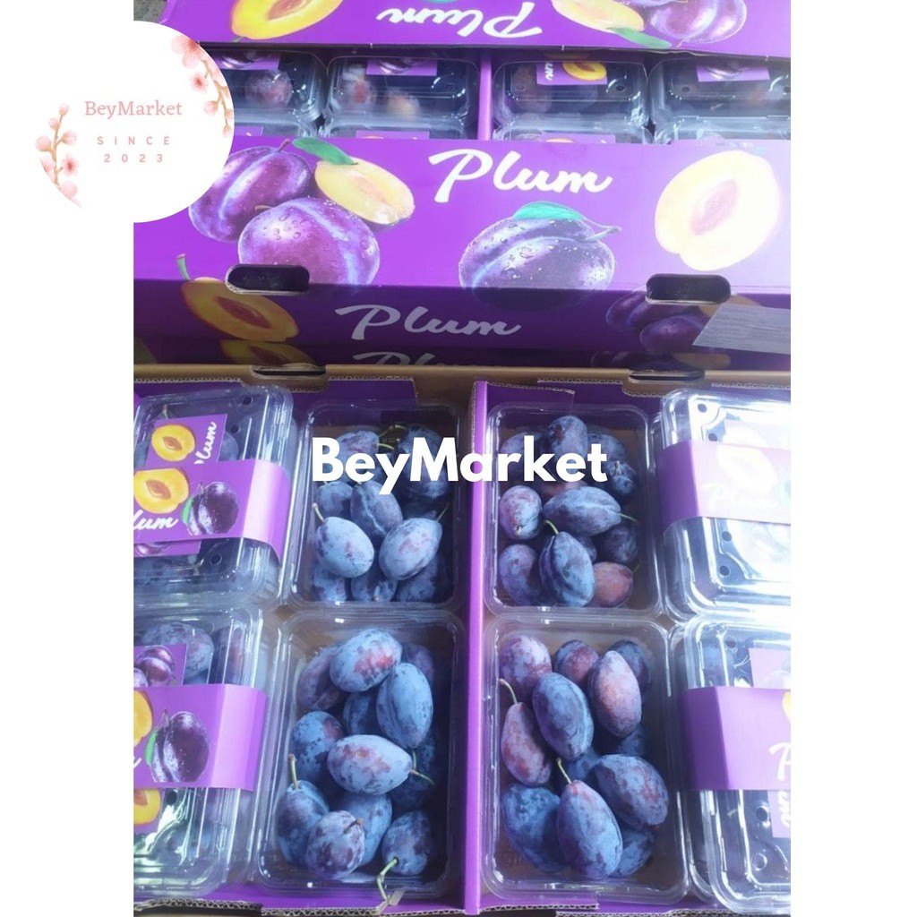 Buah Plum Sugar Manis Fresh / Buah Plum Sugar Import / Pack