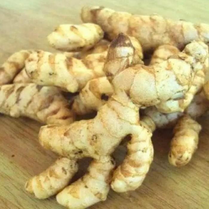 

Bersih dan segar kunyit putih curcuma zedoaria 500 gram