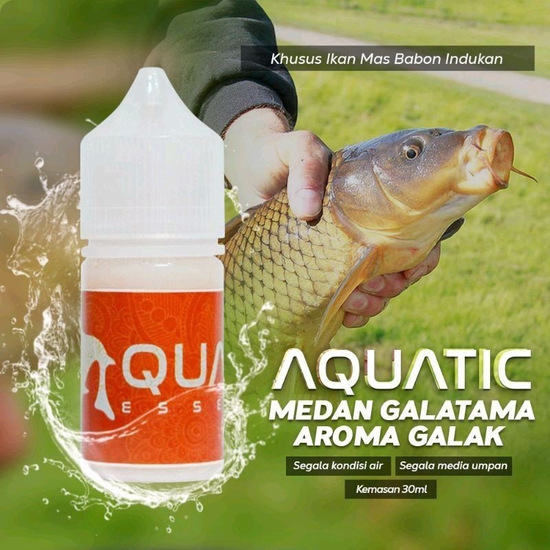 Kaitong - Aquatic Essen Ikan Mas Mancing Galatama Induk/Babon Anti Boncos Original