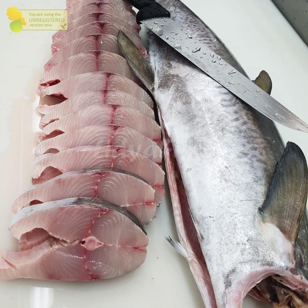 Ikan Tenggiri 1Kg Ikan Tenggiri Segar Ikan Tenggiri Steak Tenggiri Steak Seafood Ikan Laut Segar Fre