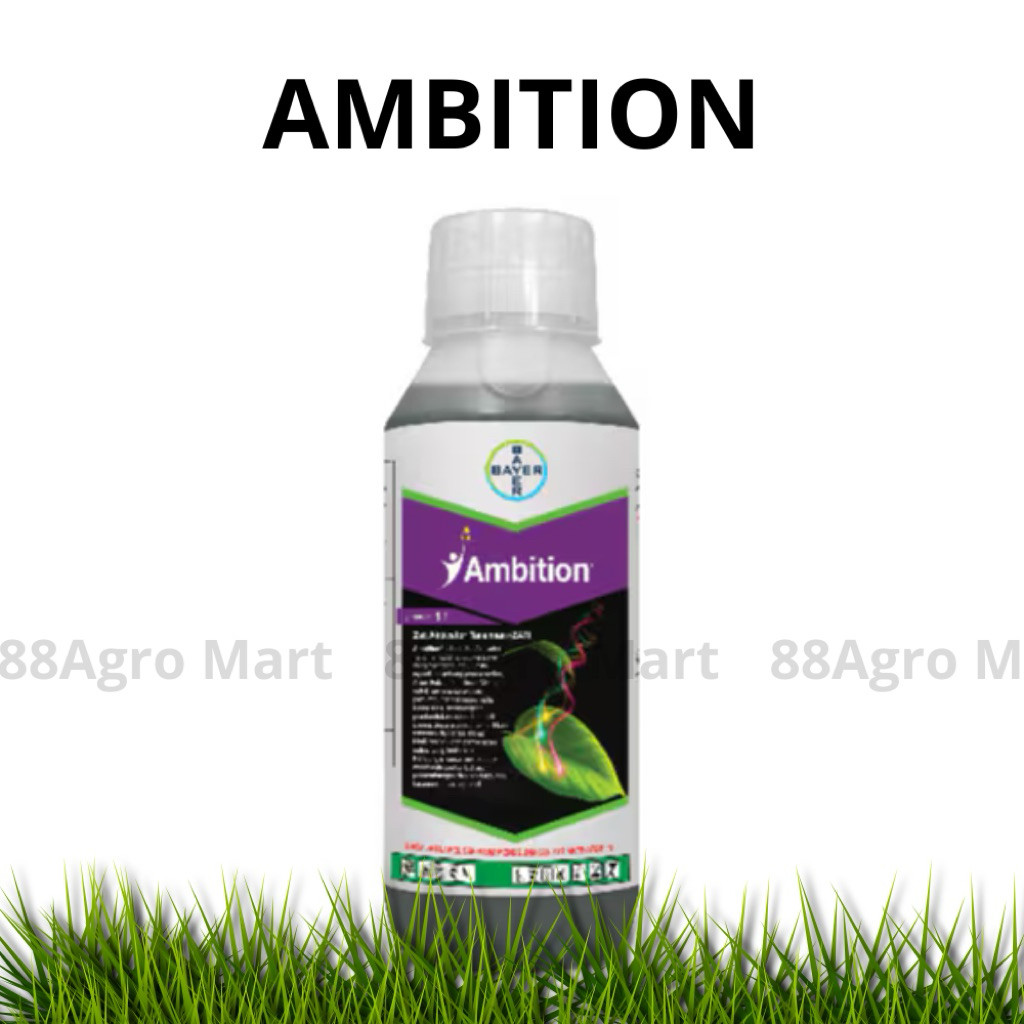COD- AMBITION 500ML / AMBITION 500 ML /AMBITION ZAT AKTIVATOR