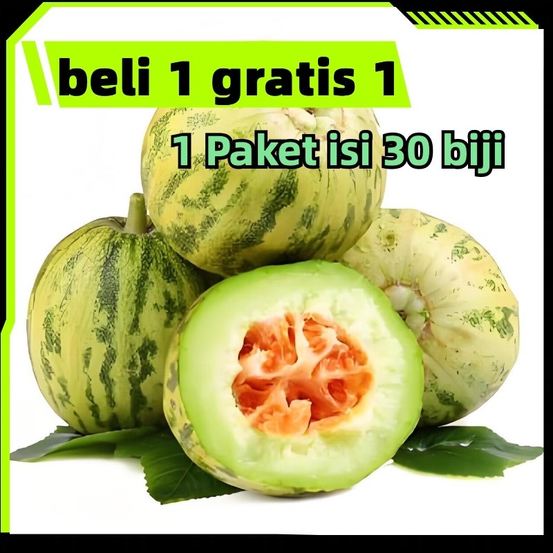 ready stock Melon Golden Benih Melon Benih Buah Buahan Bibit 30 Biji Buah melon