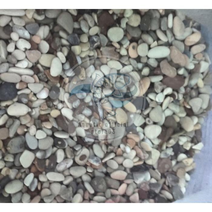 batu pancawarna aquascape / batu pancawarna aquarium 1kg / batu pancawarna / batu kolam - Kecil