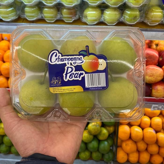 

Pear champagne sweet / champagne pear manis banyak air pack