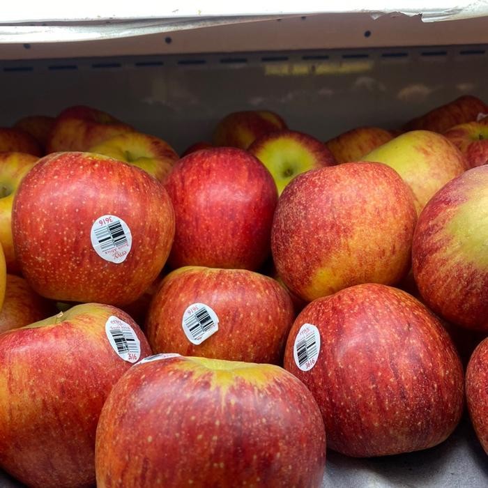 

Apel envy leguler manis garing fresh