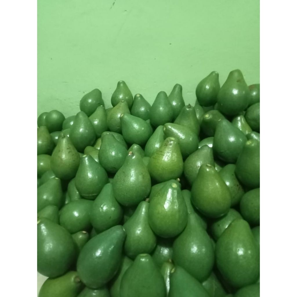 

^ Alpuket Mentega super Fresh ukuran 2.3.4 ^