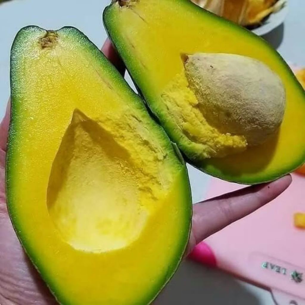 

^ alpukat mentega super 1kg isi 4 sampai 5 buah /alpukat frest COD ( PECKING AMAN ) ^