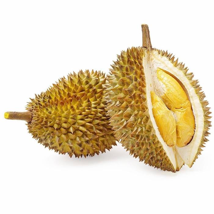 

Durian montong palu sulawesi super
