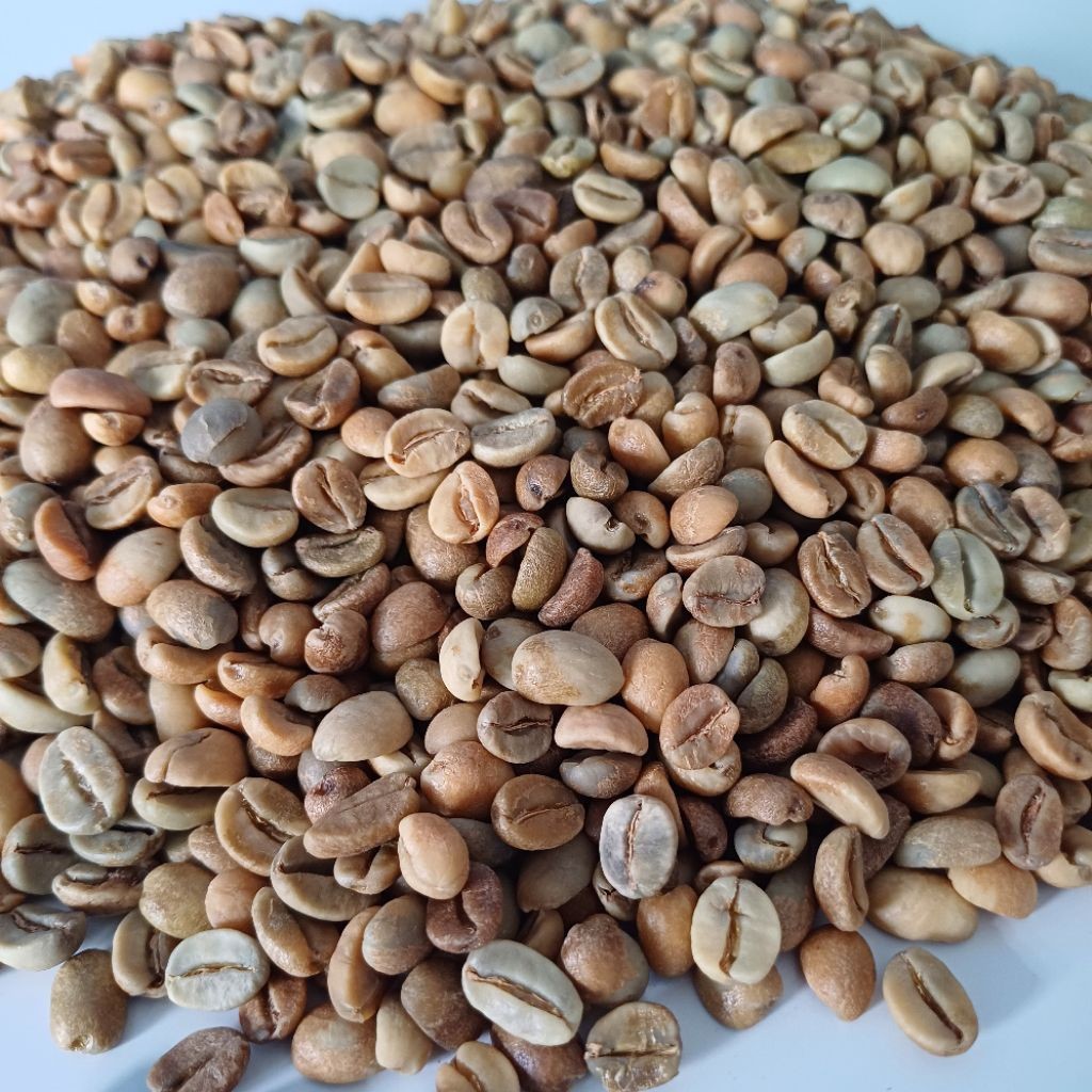 

JAMIN MURAH !!!Greenbean Arabika Arjuno Natural Anaerob 1 Kg(BISA LANGSUNG ORDER)