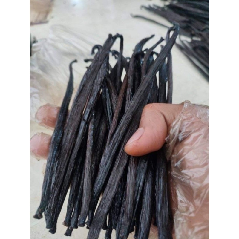 

Vanilla Beans Planifolia Grade A Gourmet (Biji Vanilla 100% Organik - 18 cm upMurah