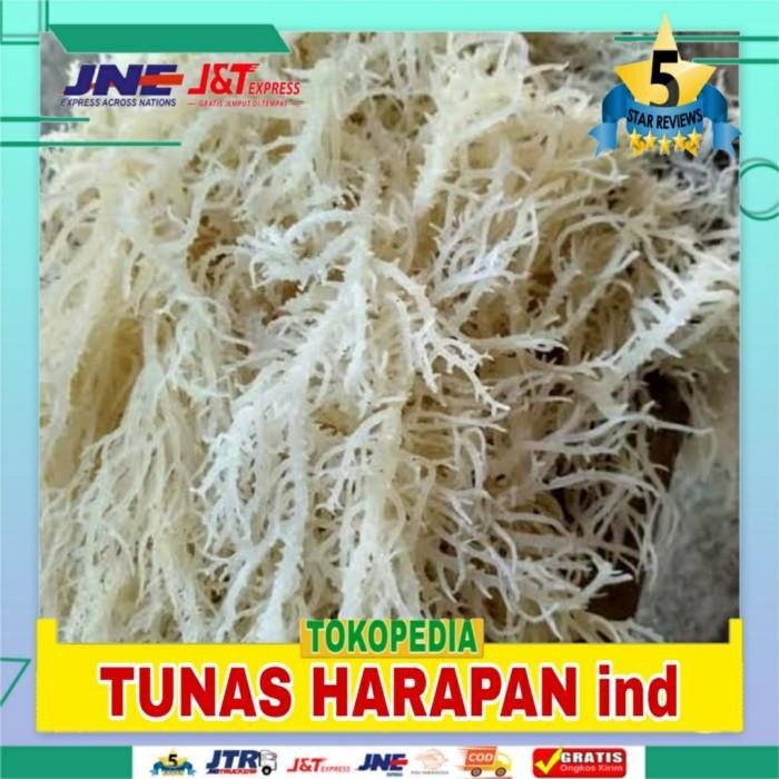 

Rumput laut Kering - Untuk Membuat Kolak Di Bulan Ramadhan