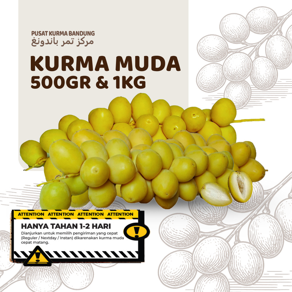 KURMA RUTHOB LIBYA / RUTHOB PREMIUM 500GR / KURMA RUTHOB LIBYA 1KG