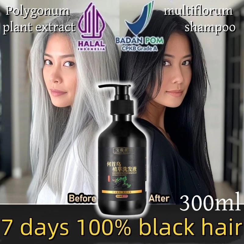 Hasil cepat Shampo Penghilang Uban 300ml Permanen Penghitam Black Herbal Natural Polygonum Multiflor