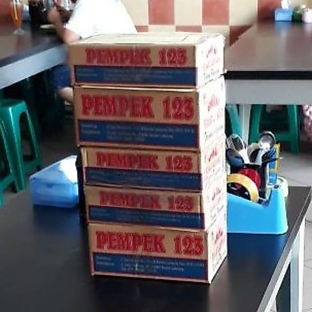 Pempek 123 lampung isi 30 pcs