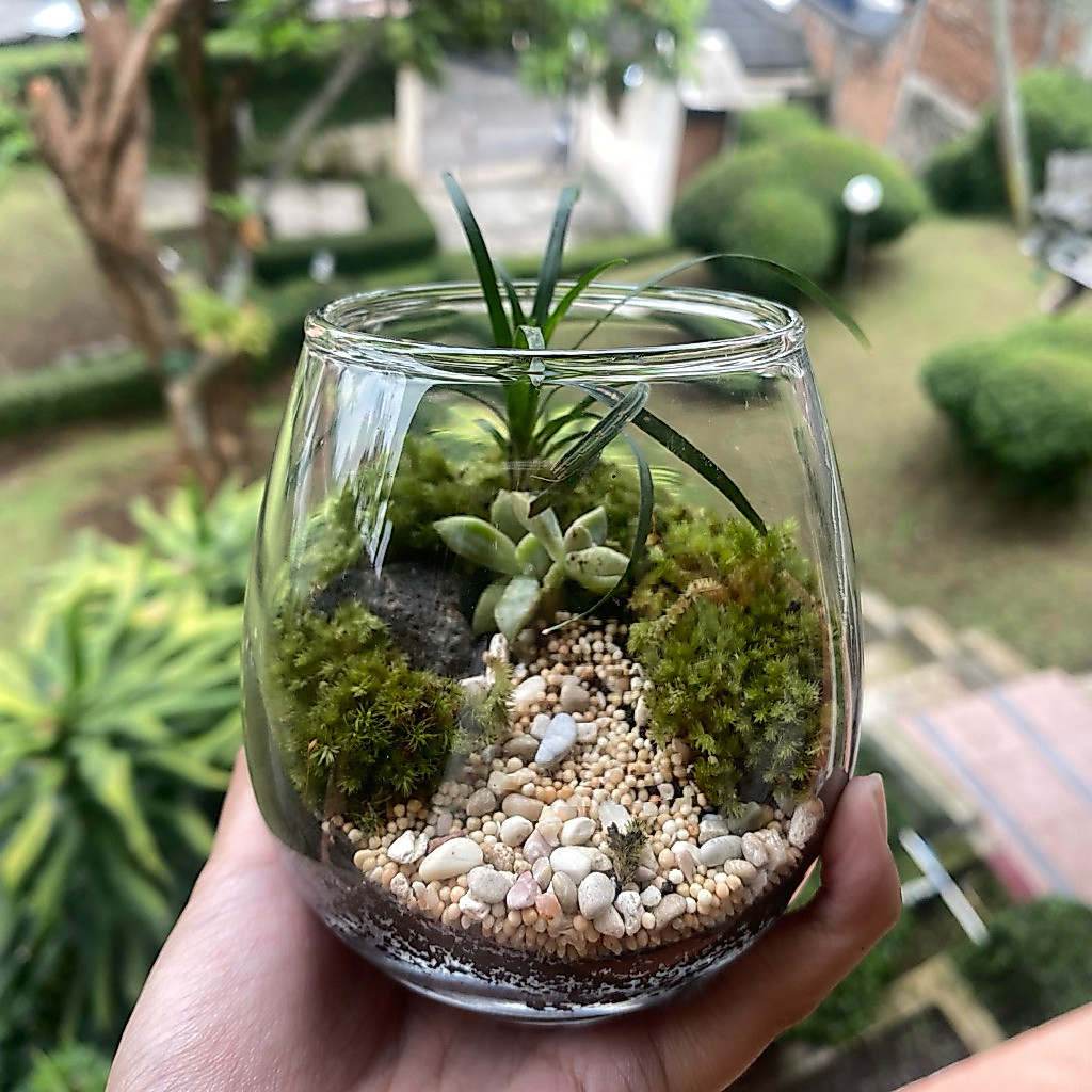 Teraloka Terrarium