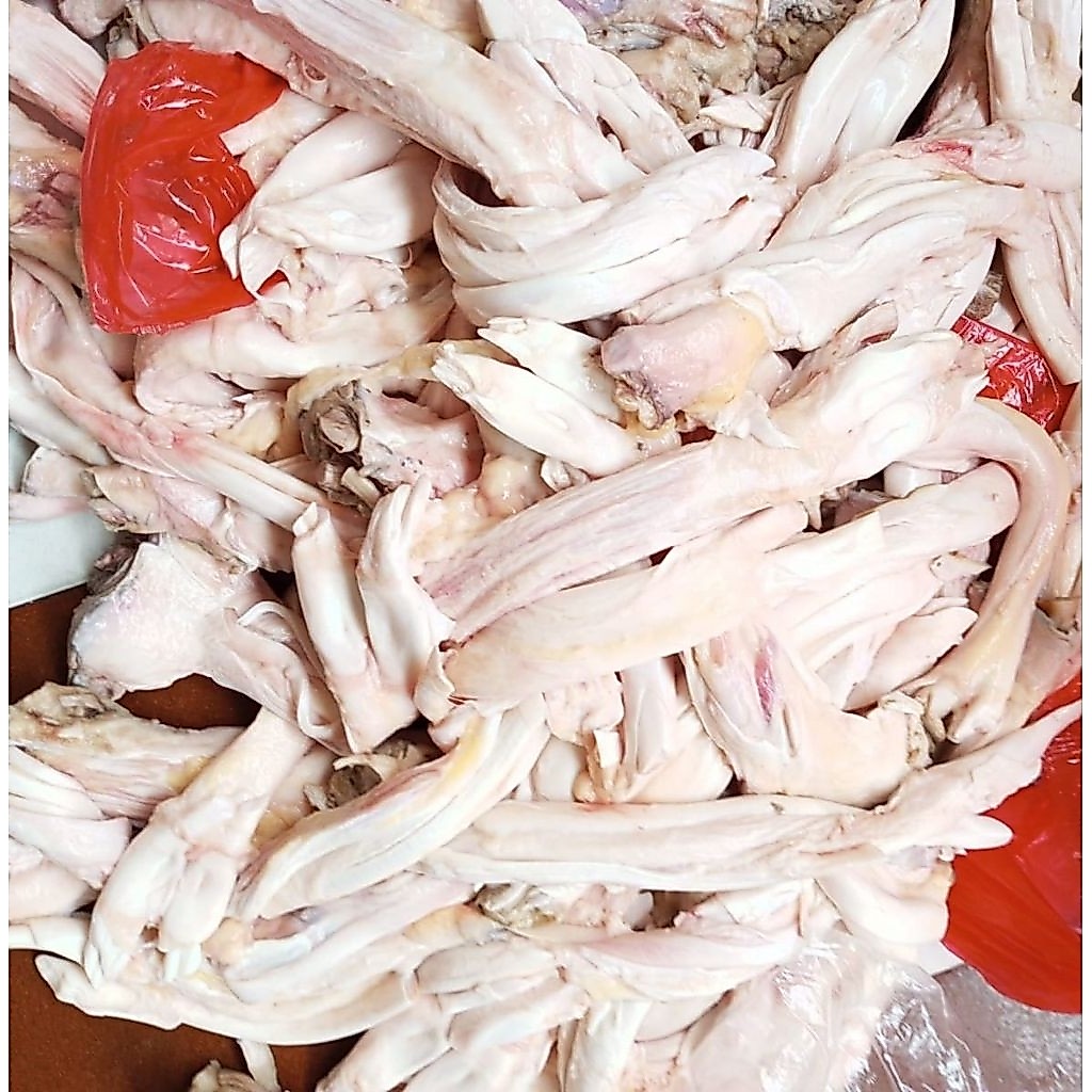 urat kaki sapi