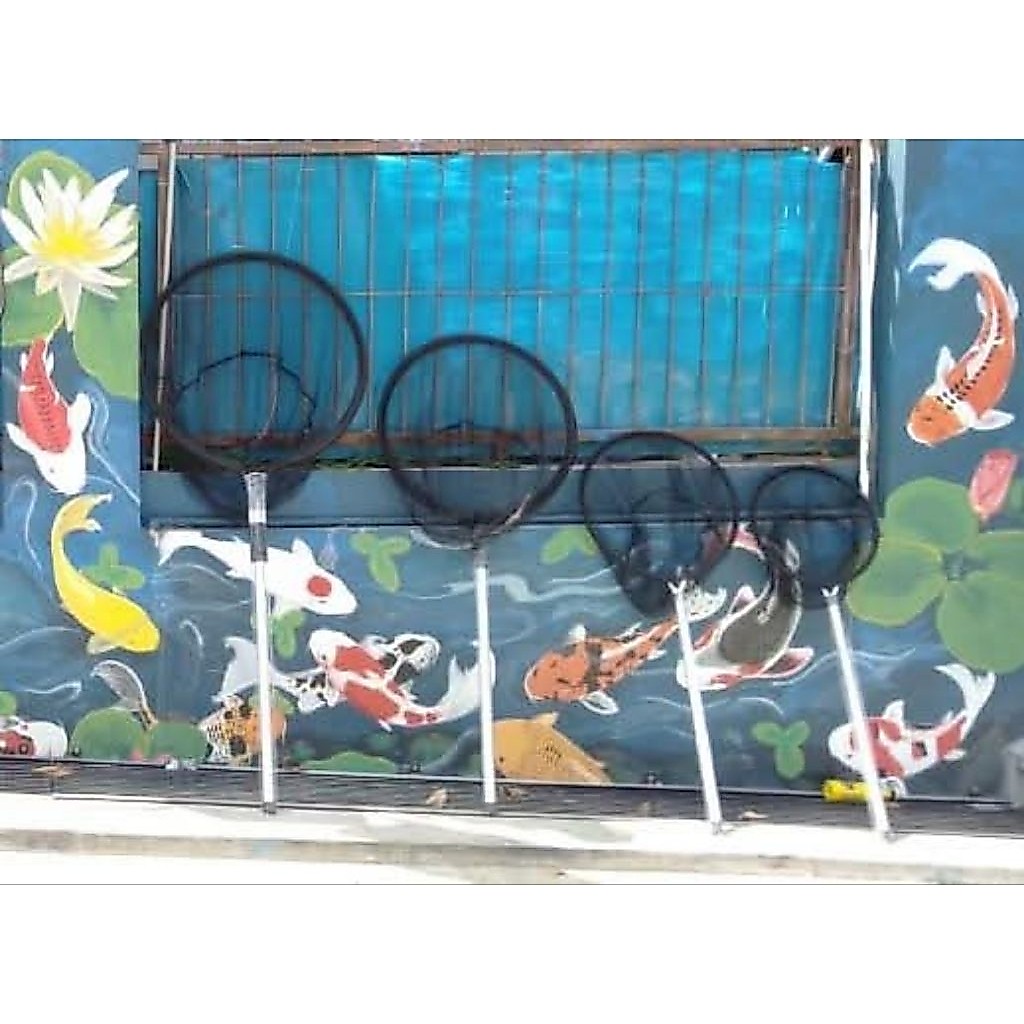 SEROKAN IKAN BESAR JUMBO SEROKAN IKAN KOI ARWANA ARAPAIMA LOHAN