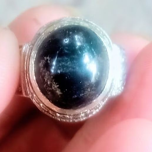 Bacan Hitam Majiko Coklat