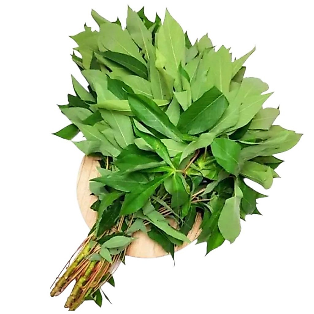 Daun Singkong Segar