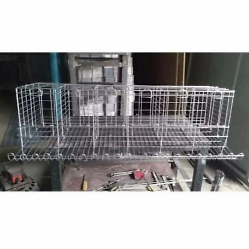 kandang ayam petelur galvanis kandang ayam petelur pintu 6