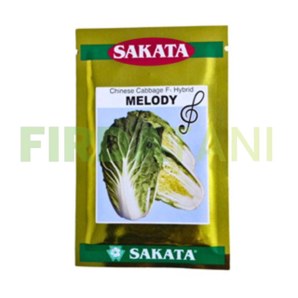 Benih Sawi Putih Melody F1 10gr Original Sakata Cocok Cuaca Panas
