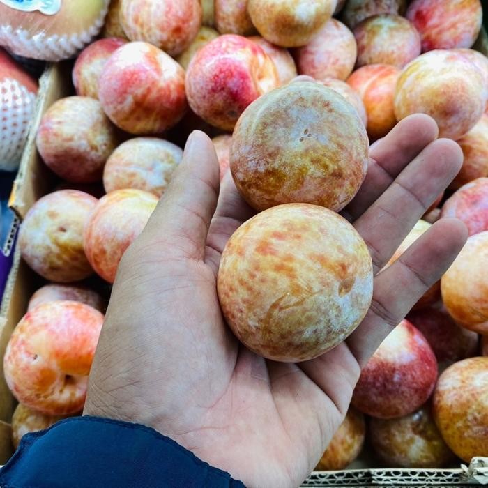

Plum pluot dapple dandy usa super plum 500 grm
